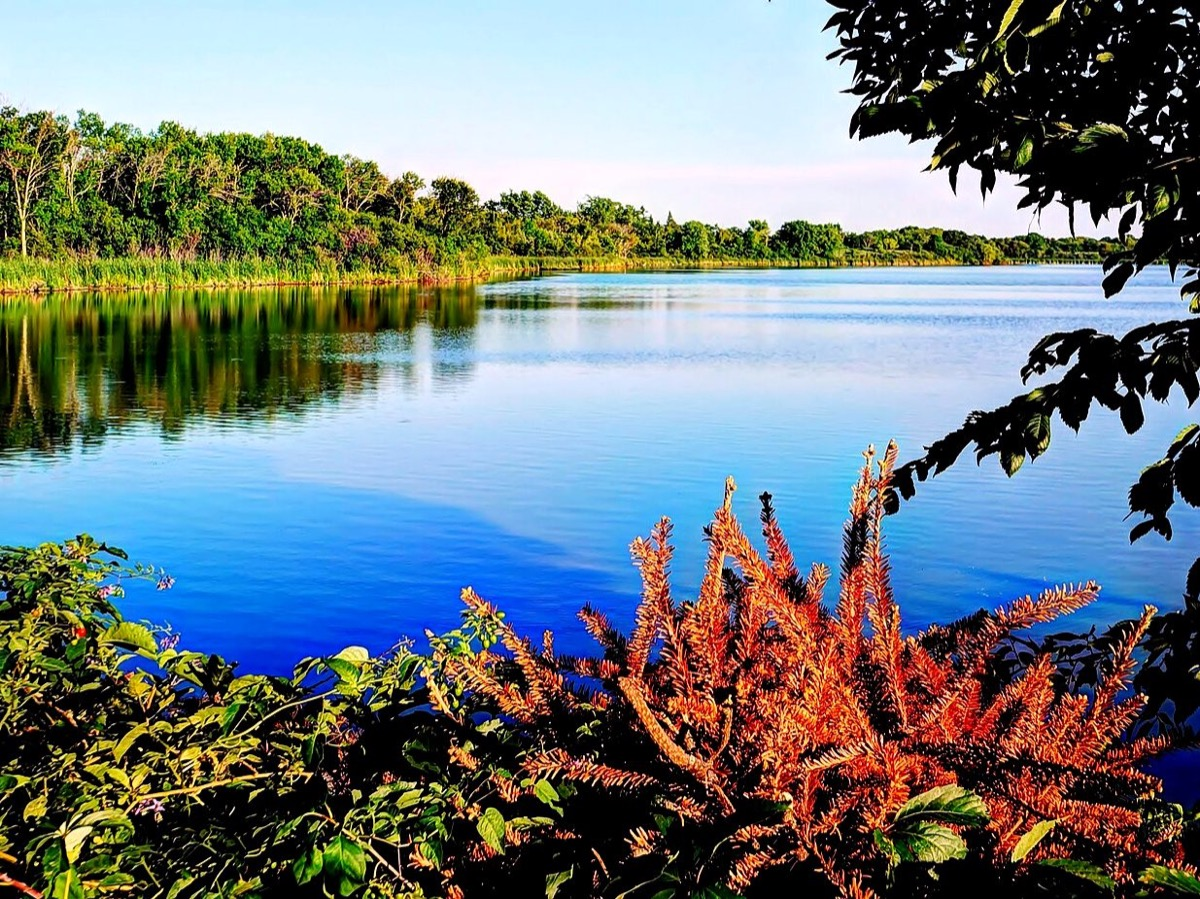 A lake in Barrington, Illinois. Photo: bogdanstepniak, CC BY 3.0, via Wikimedia Commons.