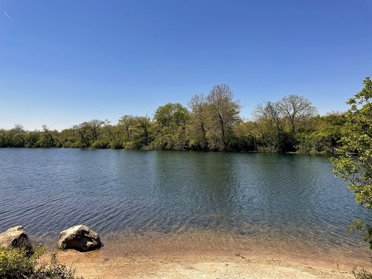 A lake in the forest preserve near Downers Grove, Illinois. Photo: SimLibrarian, CC0, via Wikimedia Commons.