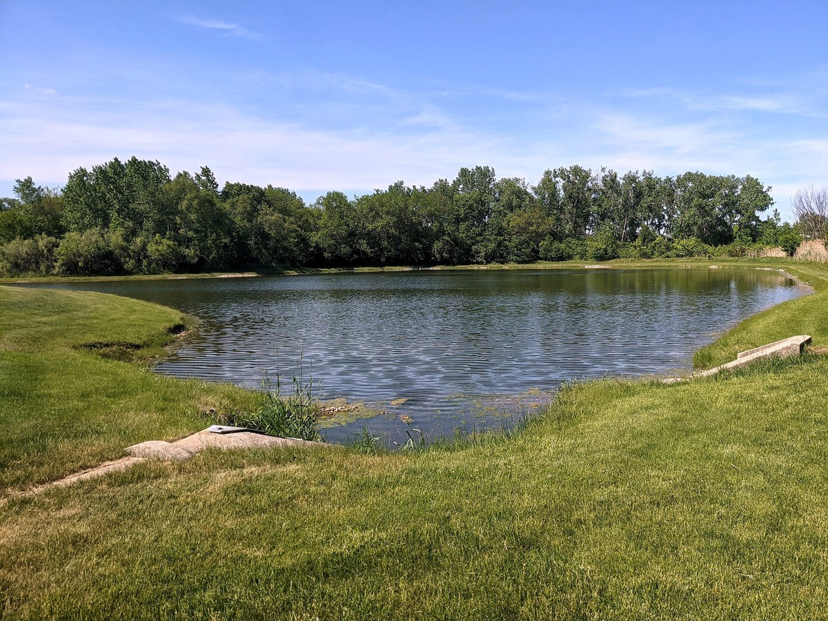 A lake near Slippery Rock Drive in Palatine, Illinois. Photo: Mysterymanblue, CC0, via Wikimedia Commons.